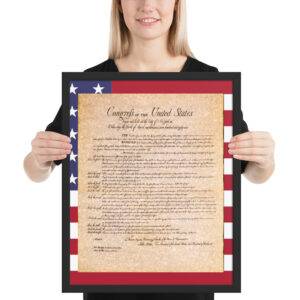 us bill of rights framed replica print