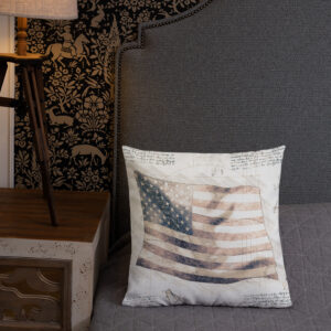 US Flag Schematic Premium Throw Pillow