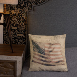 US Flag Schematic Premium Throw Pillow